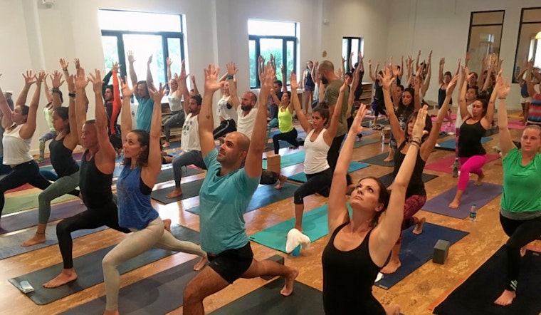 Celebrate Yoga Day with Miami's top yoga studios