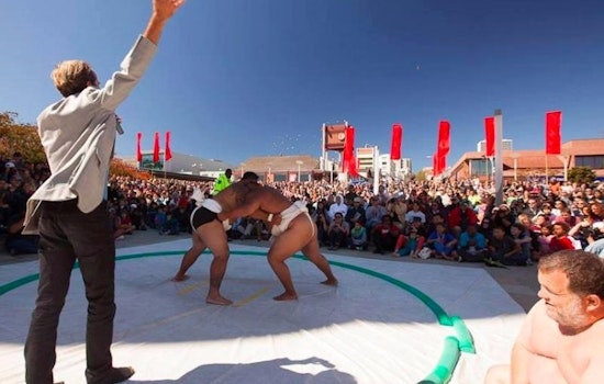 ABC7 Weekend: Ocean Beach Cleanup, Brews On The Bay & Sumo Champions Exhibition