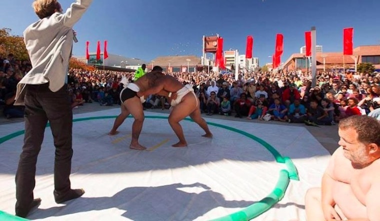 ABC7 Weekend: Ocean Beach Cleanup, Brews On The Bay & Sumo Champions Exhibition