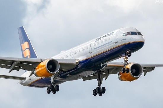 Top Tampa news: Icelandair ceases Tampa flights; viral video star Bishop Bullwinkle dies; more