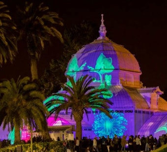 Conservatory of Flowers' annual light show returns, with full lineup of '60s rock musicians