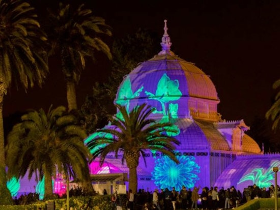 Conservatory of Flowers' annual light show returns, with full lineup of '60s rock musicians