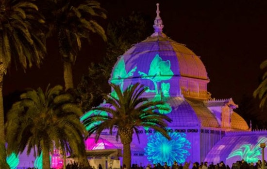 Conservatory of Flowers' annual light show returns, with full lineup of '60s rock musicians