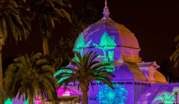 Conservatory of Flowers' annual light show returns, with full lineup of '60s rock musicians