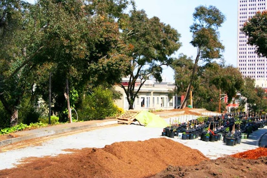Hayes Valley Farm is Getting Evicted