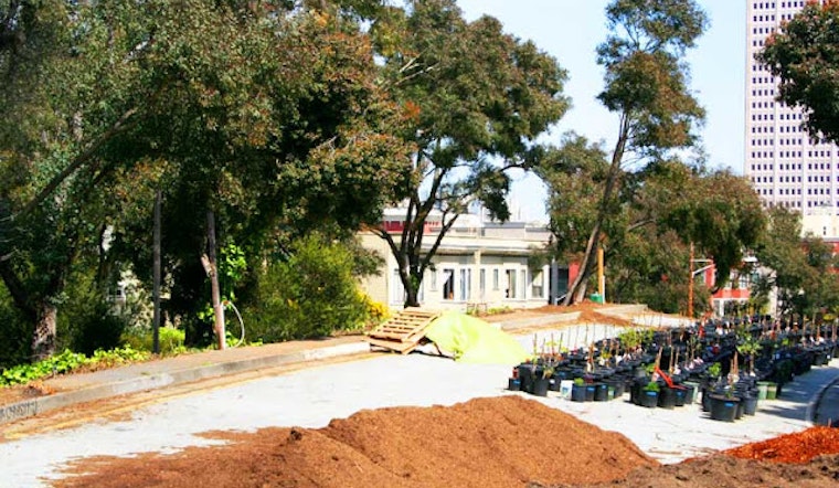 Hayes Valley Farm is Getting Evicted
