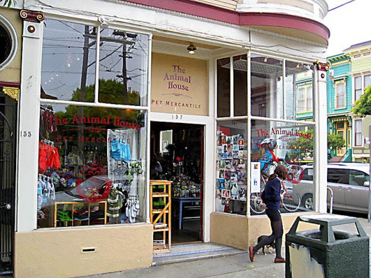 Three Very Different Lower Haight Events Today
