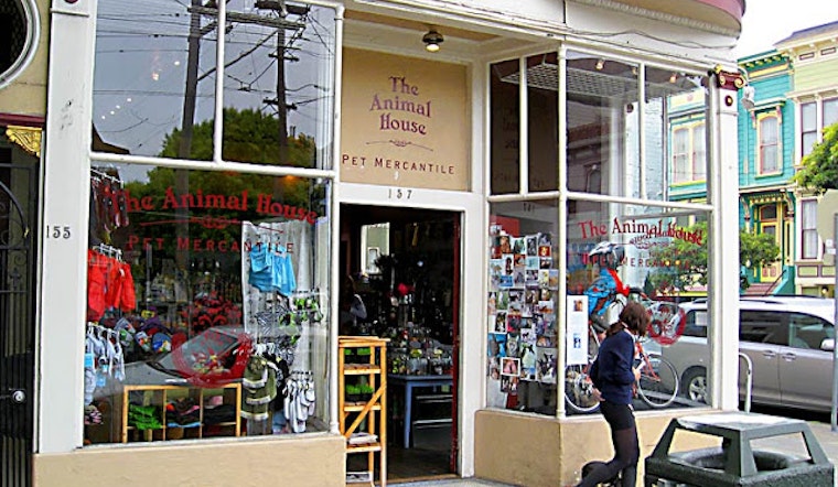 Three Very Different Lower Haight Events Today