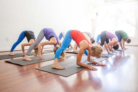 Celebrate Yoga Day with Sacramento's top yoga studios