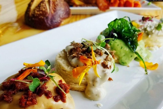 Check out the 4 freshest new businesses to launch in San Antonio