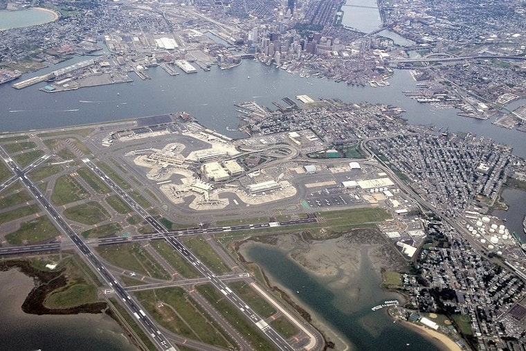 Top Boston news: Bird strike forces plane's return to Logan; 11th suspect arrested in Ortiz shooting