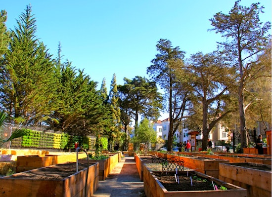 Rec & Park To Celebrate 'Open Gardens Day' With Bike Tour, Free Plants