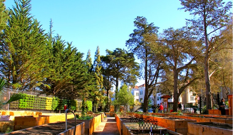 Rec & Park To Celebrate 'Open Gardens Day' With Bike Tour, Free Plants