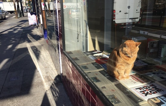 After 39 Years, Final Chapter For Church Street's 'Aardvark Books'