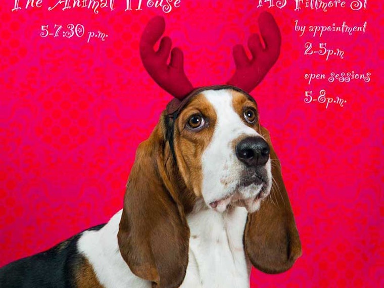 Kick Off December With Dog Party, Game Night Tomorrow