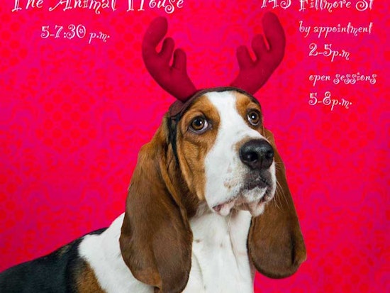 Kick Off December With Dog Party, Game Night Tomorrow