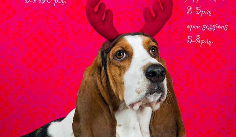 Kick Off December With Dog Party, Game Night Tomorrow