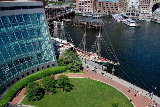Top Boston news: 19 pacifiers found in bulldog's stomach; judge blocks ICE arrests at Mass. courts