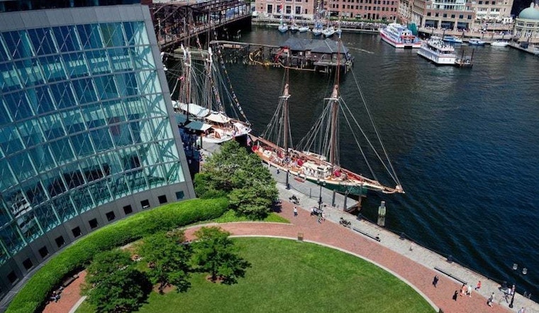 Top Boston news: 19 pacifiers found in bulldog's stomach; judge blocks ICE arrests at Mass. courts