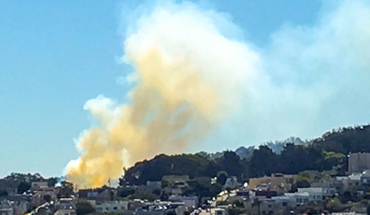 SFFD Quenches 4 McLaren Park Grass Fires