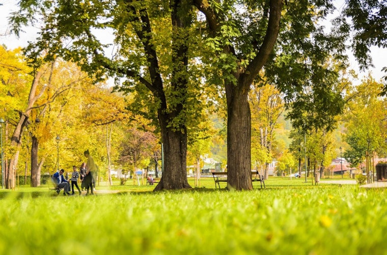 On a budget? Here are 3 things to do for free in Raleigh this week