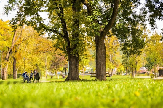On a budget? Here are 3 things to do for free in Raleigh this week