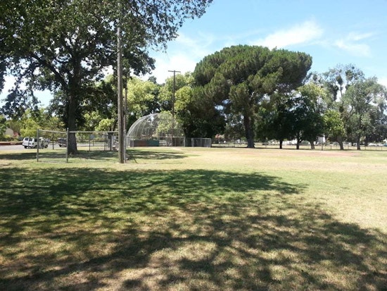 Top Stockton news: Thousands of immigrants in medical limbo; city to apply for parks grants; more