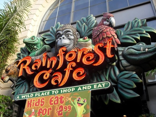 After 17 Years, 'Rainforest Café' On Fisherman's Wharf Shutters