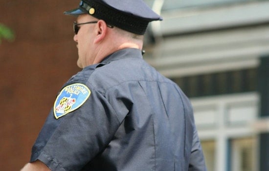 Top Baltimore news: Police deployed to city's most violent 'microzones'; fire hits cruise terminal