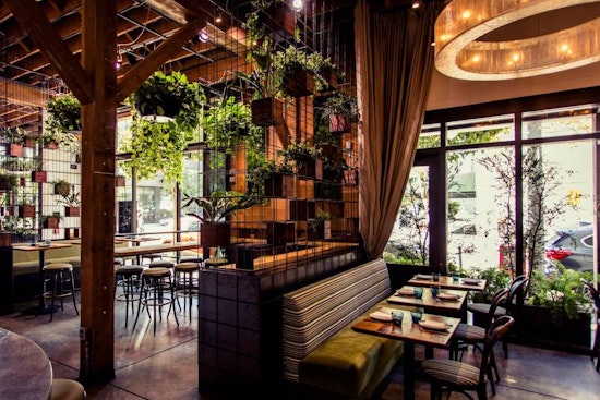 5 Hot New SF Restaurants Where You Can Still Snag A Table This Weekend