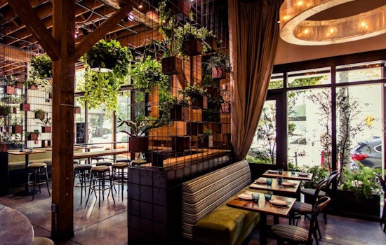 5 Hot New SF Restaurants Where You Can Still Snag A Table This Weekend