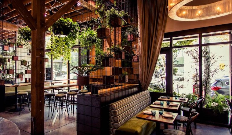 5 Hot New SF Restaurants Where You Can Still Snag A Table This Weekend