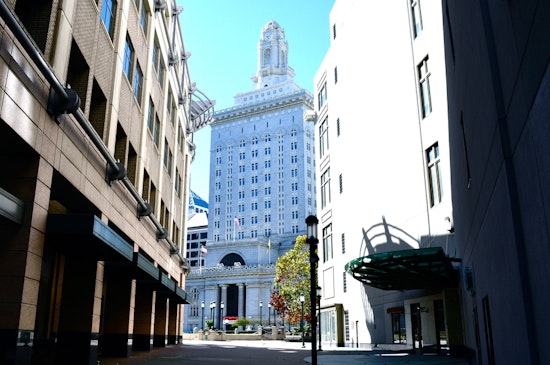 Top Oakland news: Dog flu continuing to spread at shelters; two-year budget plan passed; more