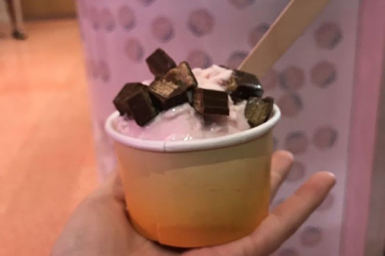 New ice cream and frozen yogurt spot Flower & Cream debuts in Braeswood Place