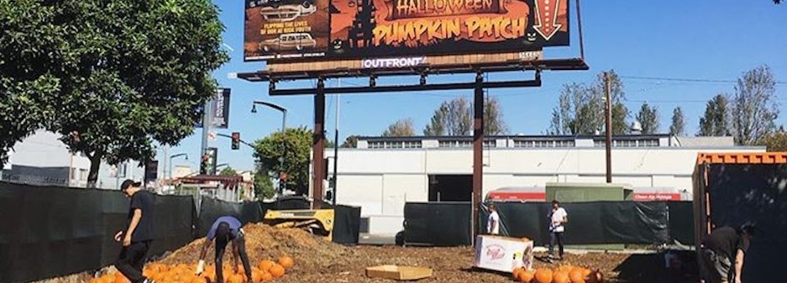 5 Ways To Spend Saturday In The Bayview