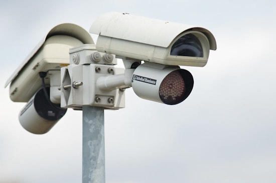 Top Detroit news: Commission to vote on police facial recognition use; dogs wander on freeway; more