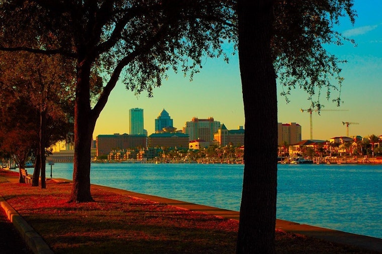 Top Tampa news: Man charged in dog's overheating death; tech boss chooses Tampa Bay; more