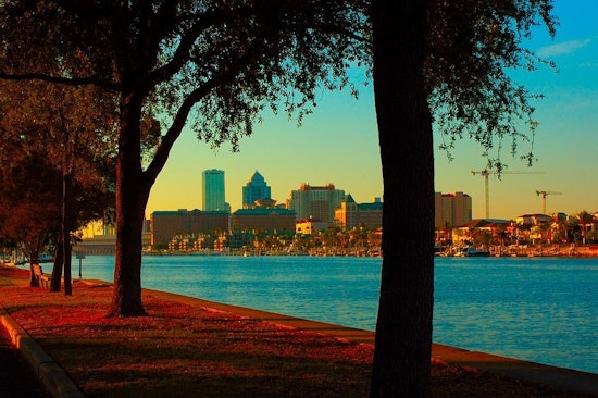 Top Tampa news: Man charged in dog's overheating death; tech boss chooses Tampa Bay; more