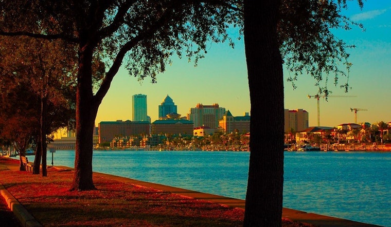 Top Tampa news: Man charged in dog's overheating death; tech boss chooses Tampa Bay; more