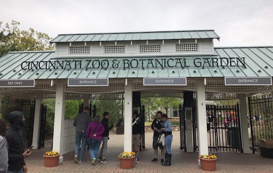 Top Cincinnati news: Zoo gets critters confiscated from smuggling ring; teen shot, killed; more