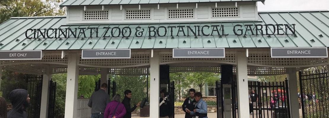 Top Cincinnati news: Zoo gets critters confiscated from smuggling ring; teen shot, killed; more