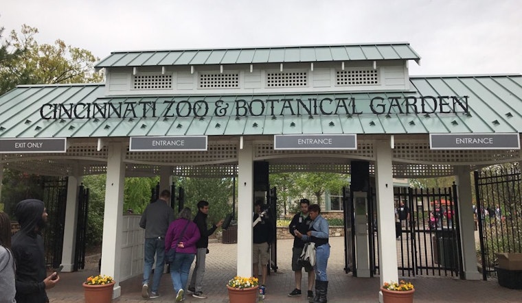 Top Cincinnati news: Zoo gets critters confiscated from smuggling ring; teen shot, killed; more