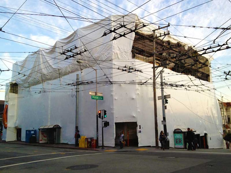 493 Haight Slips Into Little Black Dress, Shows Some Leg