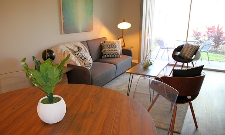 Renting in Saint Petersburg: What's the cheapest apartment available right now?