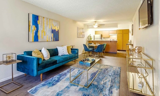 What will $800 rent you in North Mountain, this month?
