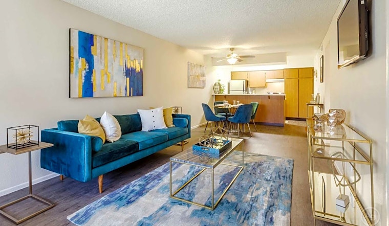 What will $800 rent you in North Mountain, this month?