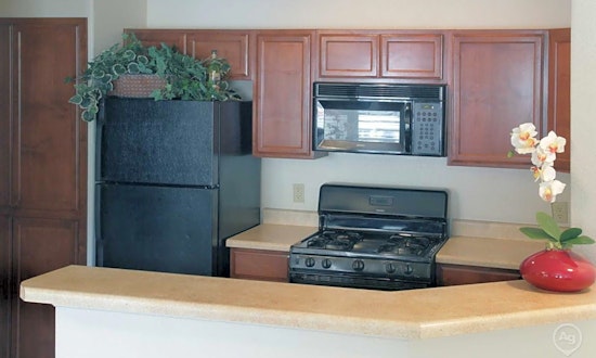 What will $1,000 rent you in North Hills right now?