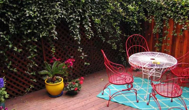 Backyards of the Lower Haight, Exposed