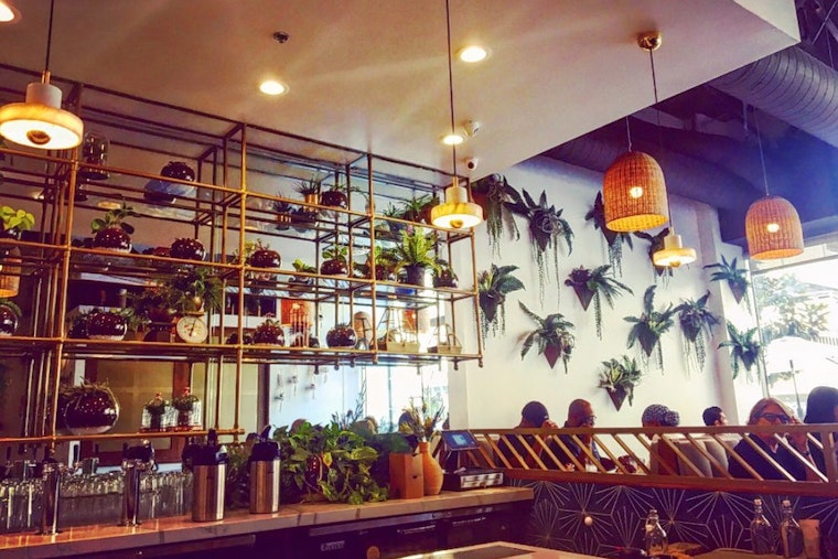 New Downtown New American Spot 'Fundamental' Opens Its Doors