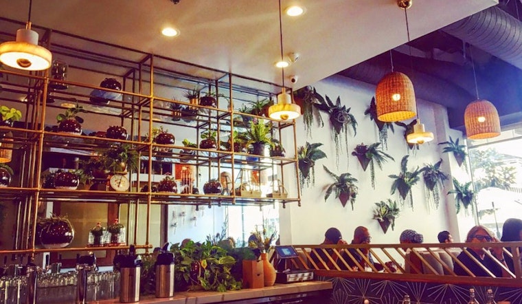 New Downtown New American Spot 'Fundamental' Opens Its Doors